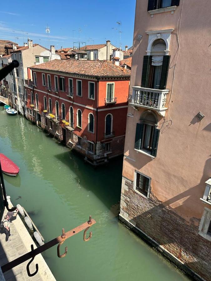 Rosa Venezia